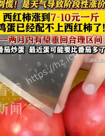 西红柿价格暴涨